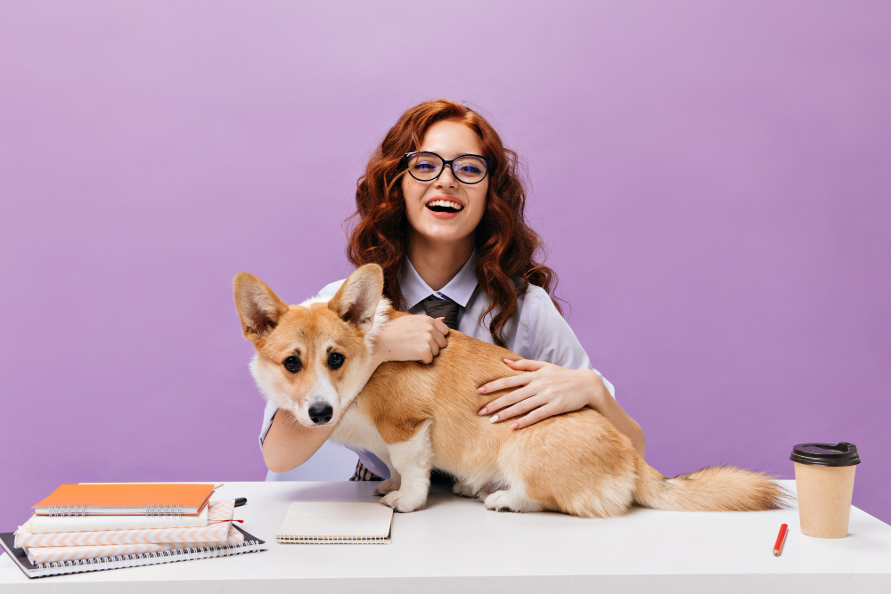 Dorm Friendly Pets For College Students