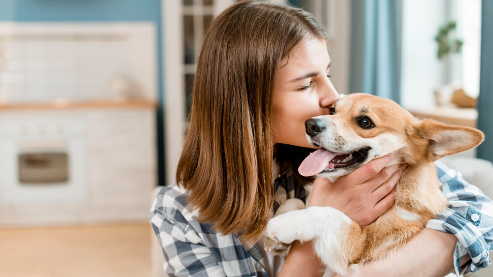 Pet Care in Your Dorm: What Do you Need?