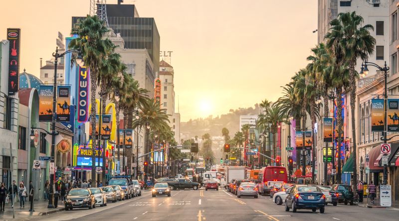 LA 101: The Ultimate Student's Guide for Student Life in Los Angeles