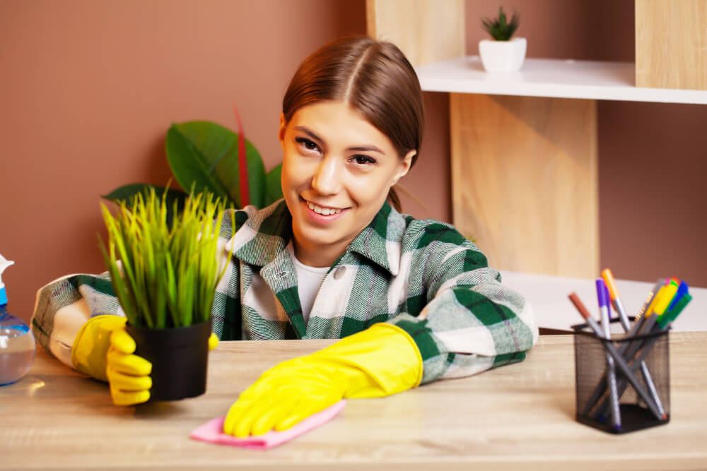 Weekly Maintenance Tips for Your Living Space